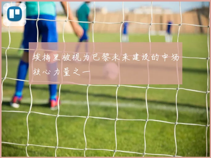埃梅里被视为巴黎未来建设的中场核心力量之一
