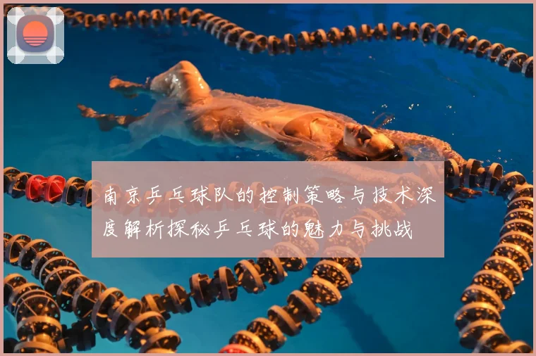 南京乒乓球队的控制策略与技术深度解析探秘乒乓球的魅力与挑战