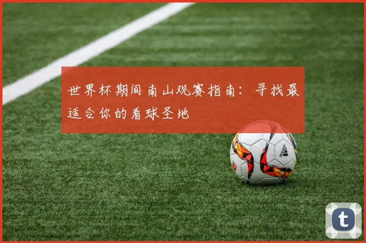 世界杯期间南山观赛指南：寻找最适合你的看球圣地