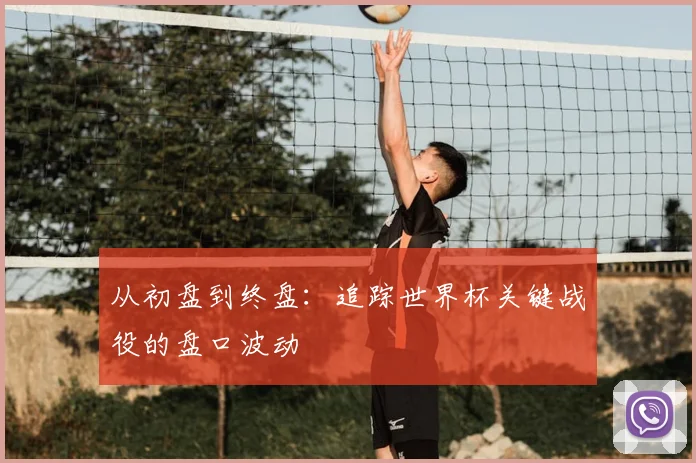 从初盘到终盘:追踪世界杯关键战役的盘口波动