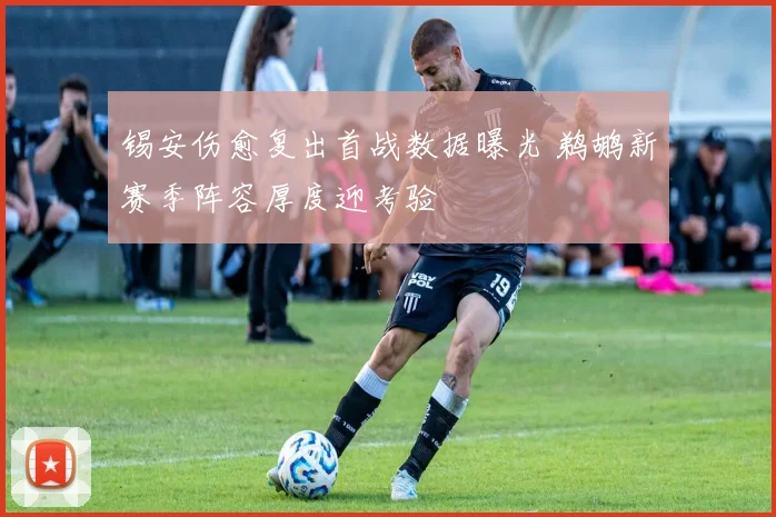 锡安伤愈复出首战数据曝光 鹈鹕新赛季阵容厚度迎考验