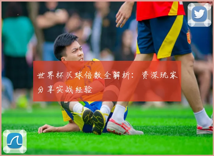 世界杯买球倍数全解析：资深玩家分享实战经验