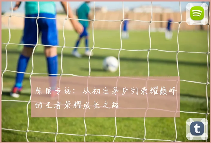 陈丽专访：从初出茅庐到荣耀巅峰的王者荣耀成长之路