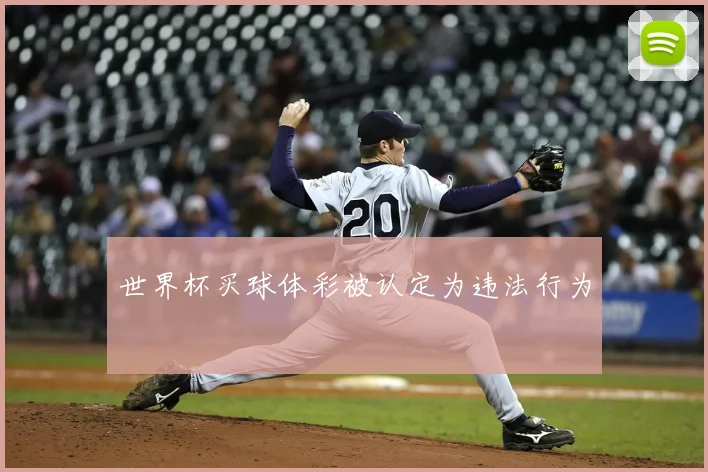 世界杯买球体彩被认定为违法行为