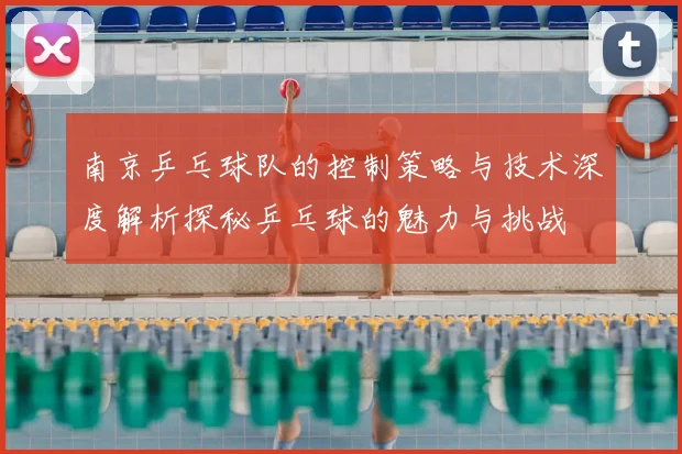 南京乒乓球队的控制策略与技术深度解析探秘乒乓球的魅力与挑战