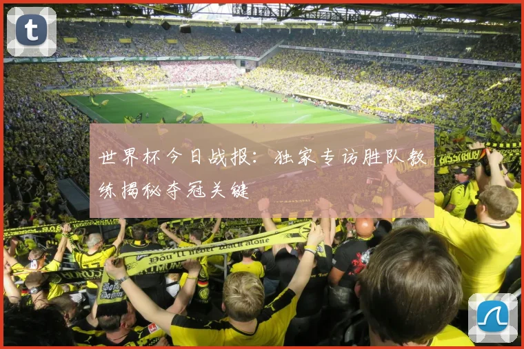 世界杯今日战报：独家专访胜队教练揭秘夺冠关键