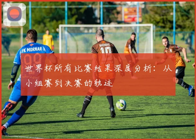 世界杯所有比赛结果深度分析：从小组赛到决赛的轨迹