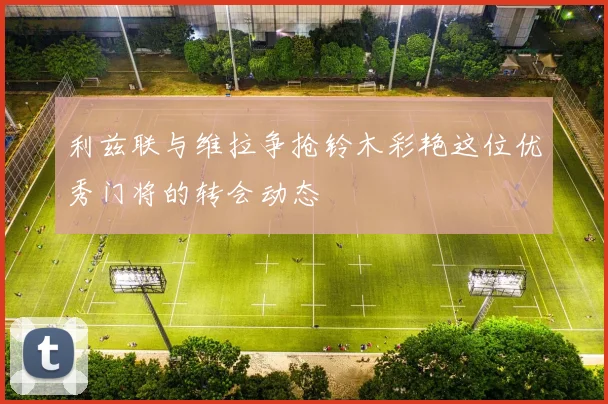 利兹联与维拉争抢铃木彩艳这位优秀门将的转会动态