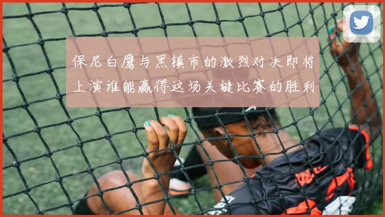 保尼白鹰与黑镇市的激烈对决即将上演谁能赢得这场关键比赛的胜利