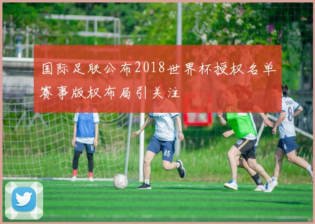 国际足联公布2018世界杯授权名单赛事版权布局引关注