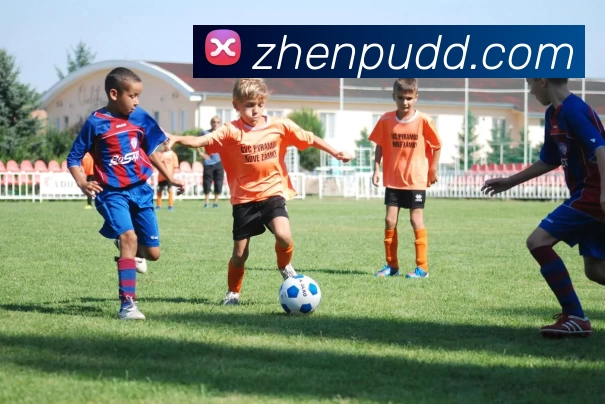 多媒体互动体验